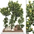 Fruitful Apple Tree Collection 115 3D model small image 1