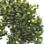 Fruitful Apple Tree Collection 115 3D model small image 4