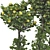 Fruitful Apple Tree Collection 115 3D model small image 5