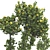 Fruitful Apple Tree Collection 115 3D model small image 6