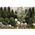 Alpine Garden Collection Kit 3D model small image 4