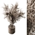  Pampas Dry Plants Bundle 3D model small image 1