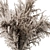  Pampas Dry Plants Bundle 3D model small image 2