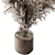  Pampas Dry Plants Bundle 3D model small image 3