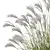 Elegant Miscanthus Grass 3D Model 3D model small image 2