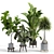 Assorted Indoor Plant Set 3D model small image 1