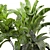 Assorted Indoor Plant Set 3D model small image 2