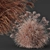 Silky Elephant Grass 3D Model 3D model small image 4