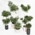 Reshapeable Indoor/Outdoor Plants 3D model small image 4