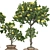 Fruitful Apple Tree in Pot 3D model small image 2