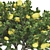 Fruitful Apple Tree in Pot 3D model small image 6