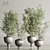 Modern Indoor Plant Set 109 3D model small image 1