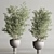 Modern Indoor Plant Set 109 3D model small image 2