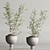 Modern Indoor Plant Set 109 3D model small image 3