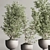 Modern Indoor Plant Set 109 3D model small image 4