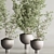 Modern Indoor Plant Set 109 3D model small image 5