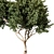 Tree Vol 09 3D Model 3D model small image 2