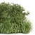 Outdoor Bush Plants 3D Models 3D model small image 3
