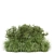 Outdoor Bush Plants 3D Models 3D model small image 4