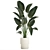 Tropical Exotic Plant Décor. 3D model small image 1