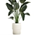 Tropical Exotic Plant Décor. 3D model small image 3