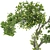 Bonsai Lemon Tree Collection 123 3D model small image 2