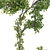 Bonsai Lemon Tree Collection 123 3D model small image 4