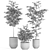 Large Plant Variety Bundle 3D model small image 4