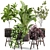 Translated Description: "A beautiful and diverse selection of indoor plants, perfect for creating a green oasis in your home."

Diverse Indoor Plant Collection 3D model small image 1
