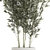 Elegant Bamboo Bush in White Floral Pot. Collection 1272 3D model small image 3