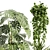 Quality Hanging Plant Collection - Palm, Banana, Monstera 3D model small image 5