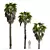 Robust Washingtonia Palm Set 3D model small image 2