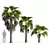 Robust Washingtonia Palm Set 3D model small image 3