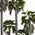 Robust Washingtonia Palm Set 3D model small image 4