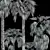 Robust Washingtonia Palm Set 3D model small image 5