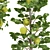 Indoor Apple Tree Collection 3D 3D model small image 5