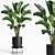 15 Indoor Plants Collection 3D model small image 1