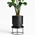 15 Indoor Plants Collection 3D model small image 2