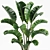 15 Indoor Plants Collection 3D model small image 3