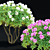 Rhododendron Hybrid Bush Set | 3D Models 3D model small image 6