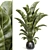 Tropical Banana Plant Mini Garden 3D model small image 1