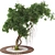  Garden Tree & Bush Plant Set 128 3D model small image 1