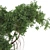  Garden Tree & Bush Plant Set 128 3D model small image 4