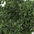  Garden Tree & Bush Plant Set 128 3D model small image 5