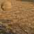 Seamless Texture Bundle with Displacement 3D model small image 1