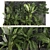 Exotic Tropical Plant Set 3D model small image 1