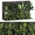 Exotic Tropical Plant Set 3D model small image 6