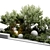 Lush Outdoor Plants Display 3D model small image 3