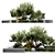 Lush Outdoor Plants Display 3D model small image 4