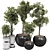 Decorative Bonsai Tree Collection 131 3D model small image 1